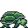Tortoise Image